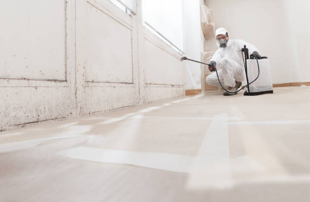 24/7 Emergency Mold Inspection experts in Grassflat, PA